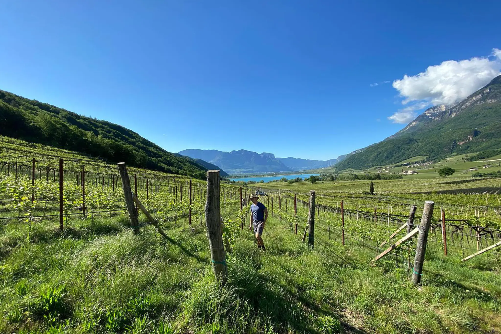 Lieselehof — Caldaro, Alto Adige